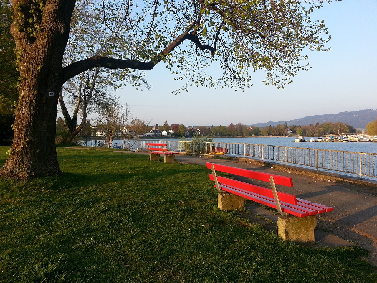 顶级冬季运 顶级冬季运