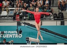 皮克福德并 皮克福德并