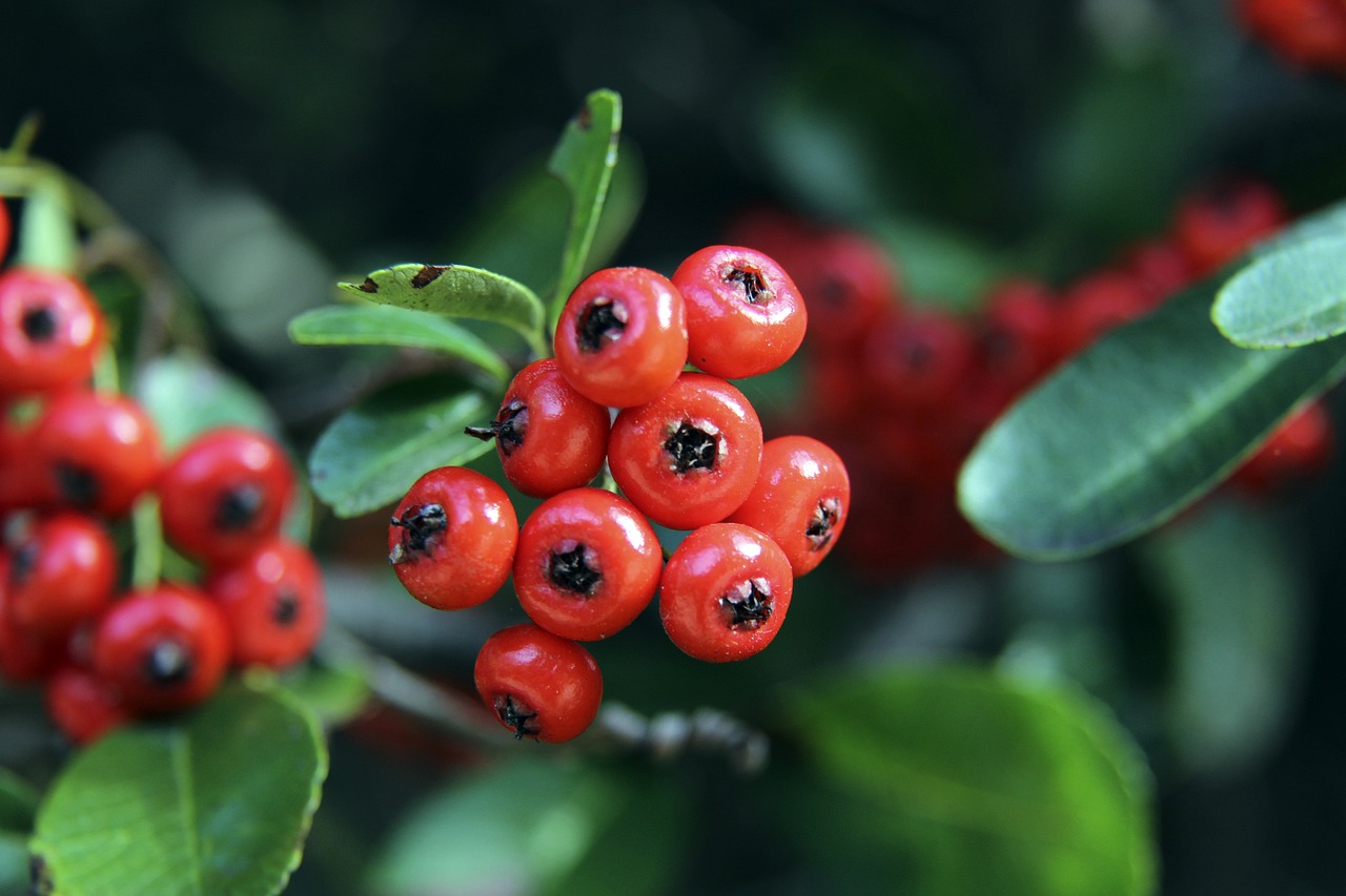 与对手一一 与对手一一