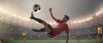 兰的表现 兰的表现