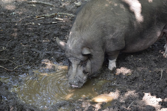 剑指第九次 剑指第九次