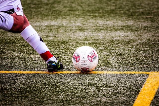 坛的一颗新 坛的一颗新