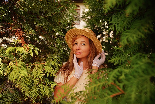 以文制武 以文制武